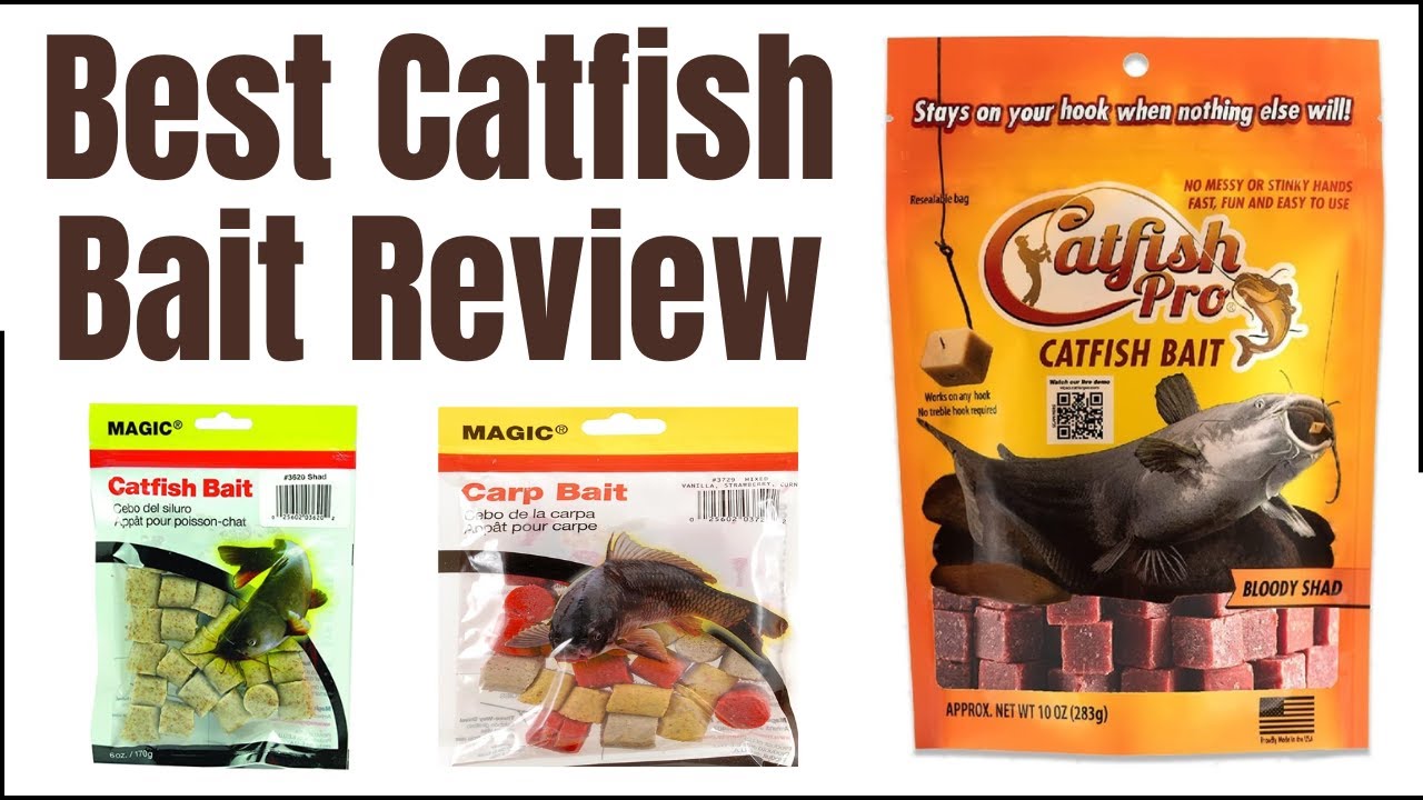 Best Catfish Bait Review