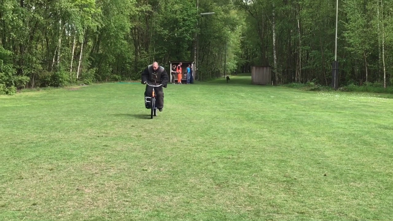 KNPV dog bicycle leg attack hard hit