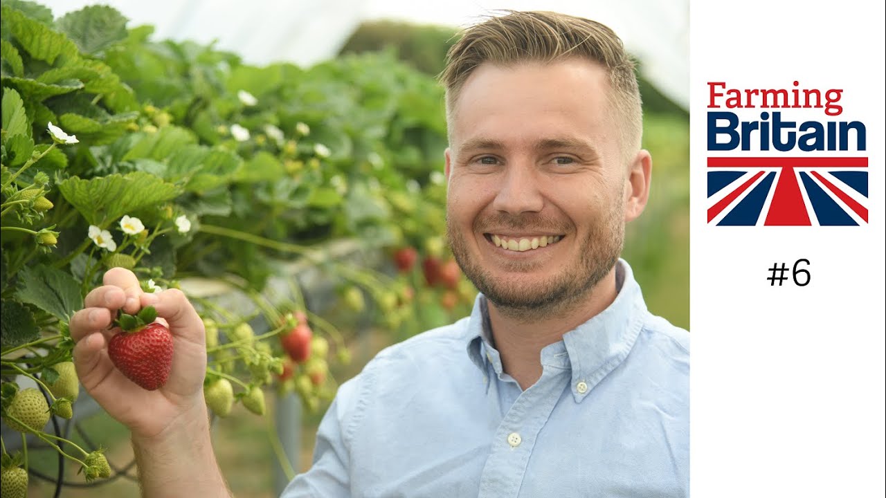Farming Britain #6 - Strawberries and Cream
