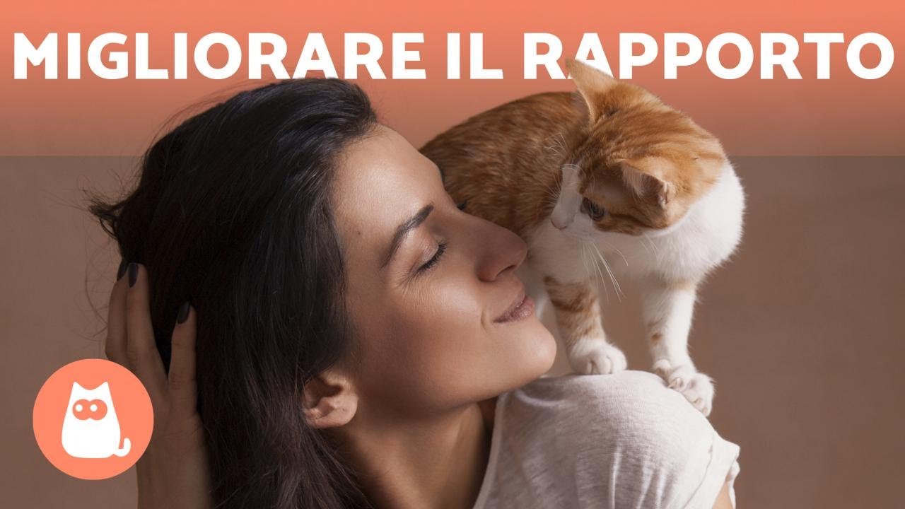 Come migliorare il RAPPORTO con il mio GATTO? 🧍❤️🐈