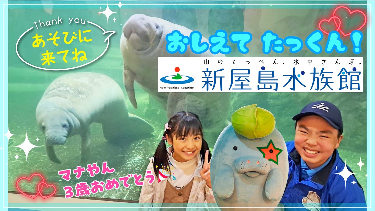 【新屋島水族館🐬】山のてっぺんの水族館にはこんな魅力が！たっくんと一緒にご紹介します♪
