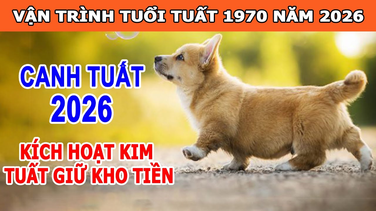 Vận Trình Tuổi Canh Tuất 1970 Năm 2026 | Năm Kích Hoạt Kim Tuất Giữ Kho Tiền | Tử Vi Cổ Học