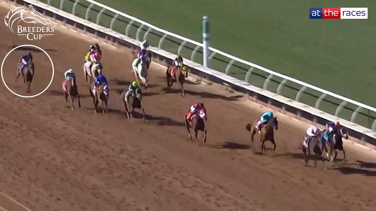 City Of Troy disappoints as SIERRA LEONE claims 2024 Breeders' Cup Classic crown!