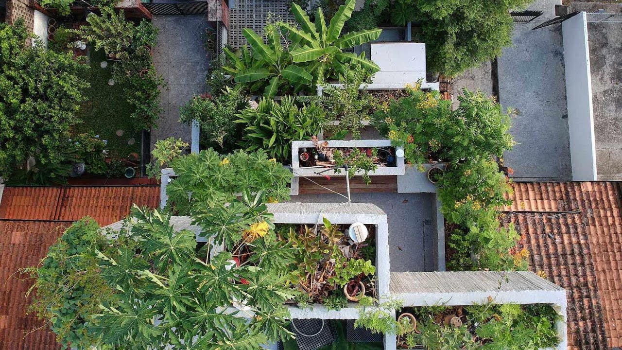 Planter Box House designed by Formzero