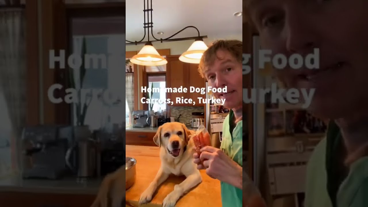 What dog food is BEST to feed?