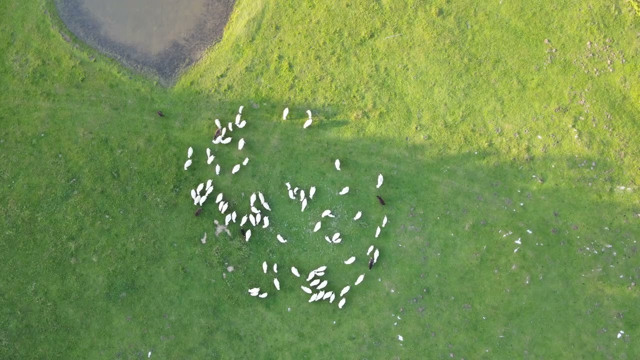 Menina planina iz zraka