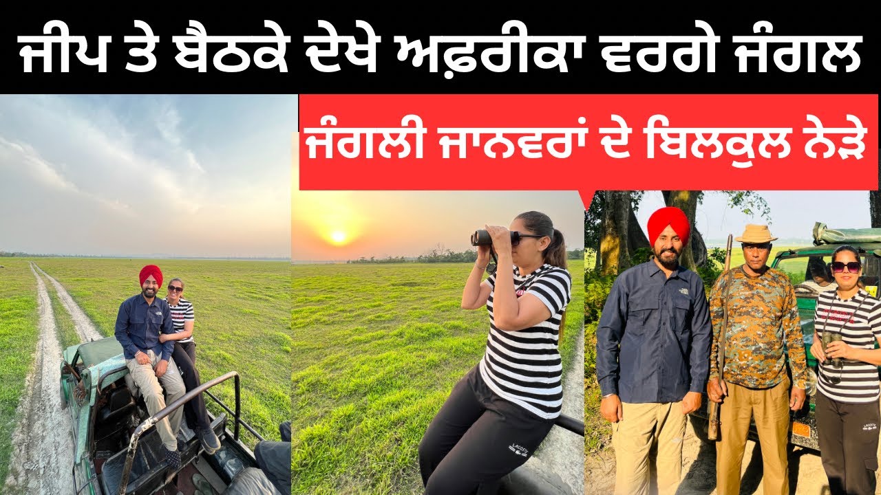 ਜੀਪ ਤੇ ਬਹਿਕੇ ਦੇਖੇ ਅਫ਼ਰੀਕਾ ਵਰਗੇ ਜੰਗਲ Kaziranga National Park | Punjabi Travel Couple | Ripan Khushi