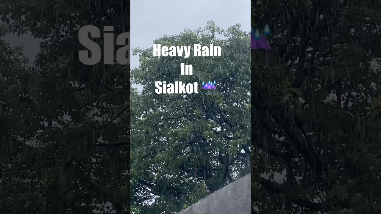 Heavy Rain in Sialkot ☔️ 🌧️ #viral #rain #rainsounds