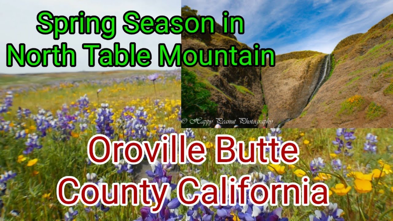 Driving to and Hiking the North Table Mountain in Oroville/Butte County California in Spring
