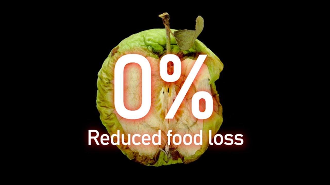 Obortech - Ways to Reduce Food Waste and Loss
