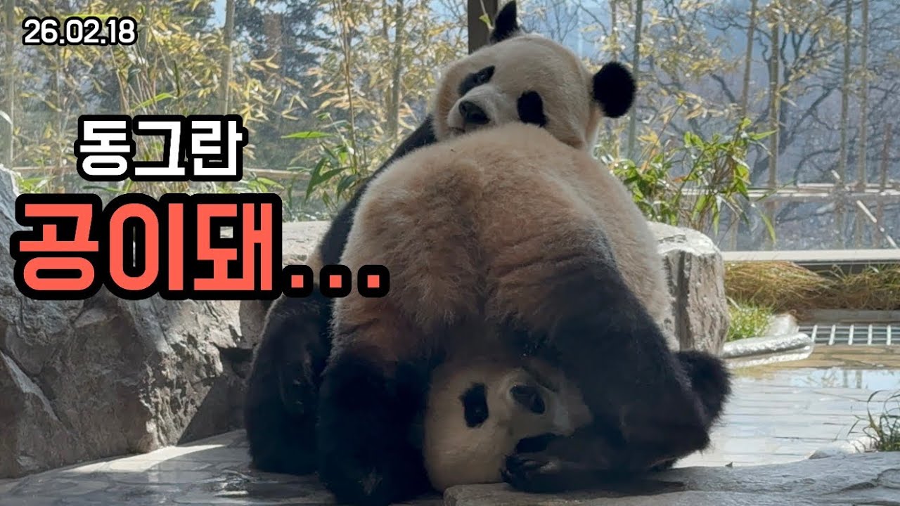 26.02.18 웅니 껌딱지 모드 장착한 후이😍😊
