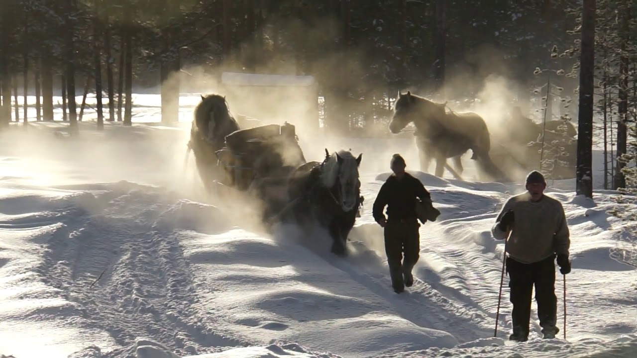 Forbönder, resan från Särna till Idre