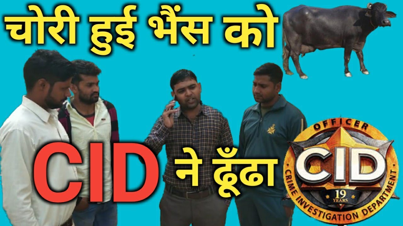 Chori Hui Bhains Ko CID ne Dhunda|DroLL FuN|Short Film|Comedy video|