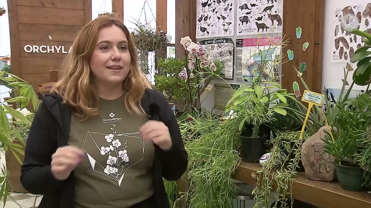 El encanto de Almaraz: un paseo entre orqu&iacute;deas | Territorio Extremadura