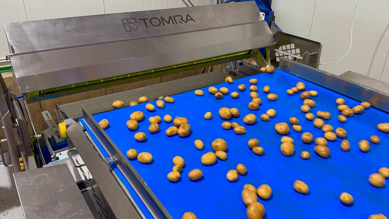 Sortowanie mytych ziemniaków @maciej_Archimedes