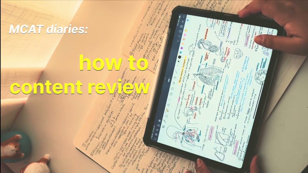 The best MCAT study technique for VISUAL learners