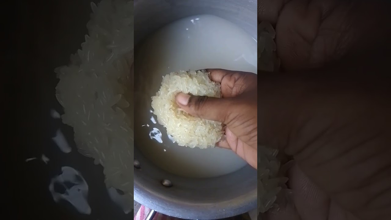 RAW Rice in Water 💦 🍚🌾❗✨