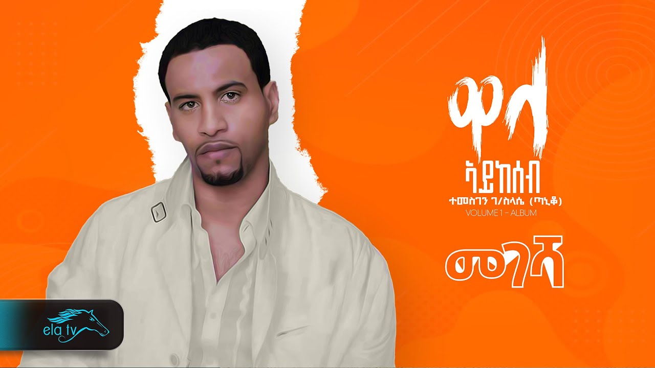 Temesgen Gebreselassie  - Taniqo - Megesha - መገሻ - Eritrean Music - ( Official Audio )- Fyori - ፍዮሪ
