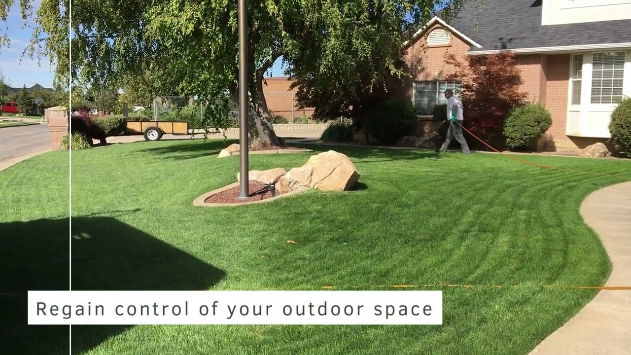 🌱🛡️ Eradicate Unpleasant Odors: Safe & Effective Grub Control Solutions for Your Yard! 🏡