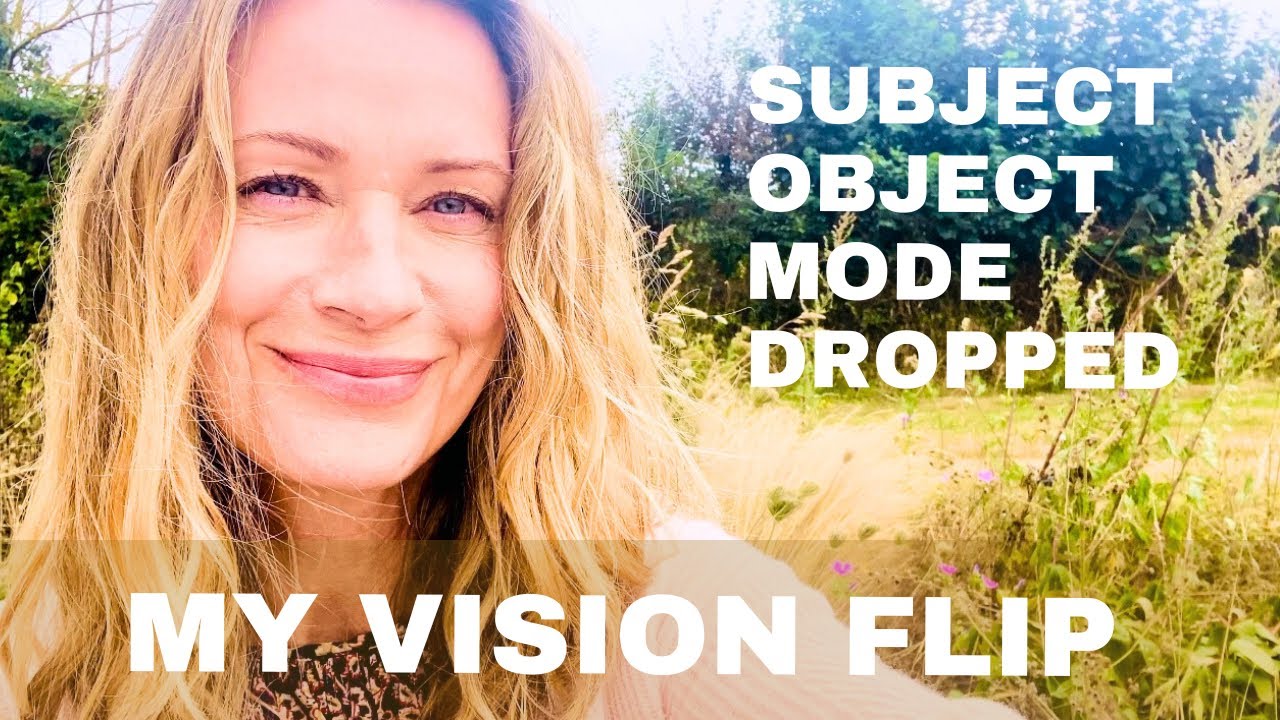 My Vision Flip - the subject object experiencing mode dropped