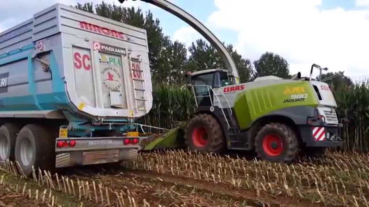 CLAAS JAGUAR 980 + ORBIS 900 Gruppo Pea