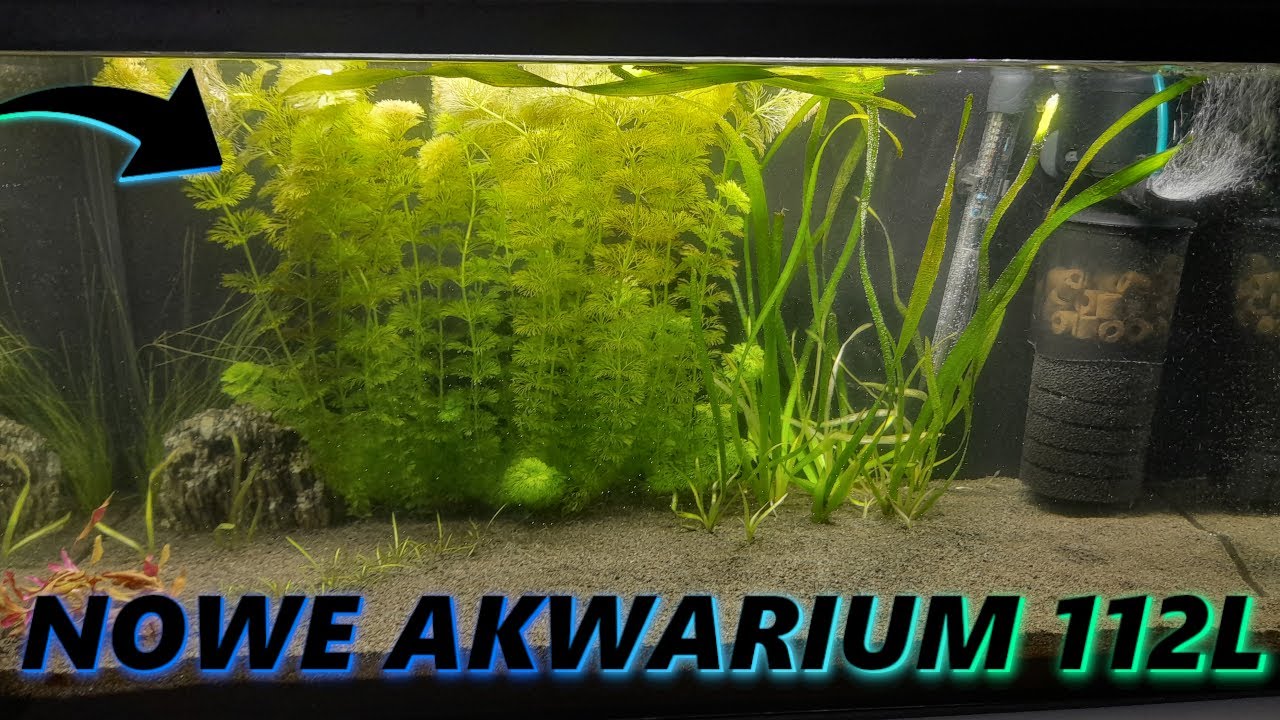 NOWE AKWARIUM 112L *Czy to koniec z kanałem?!*