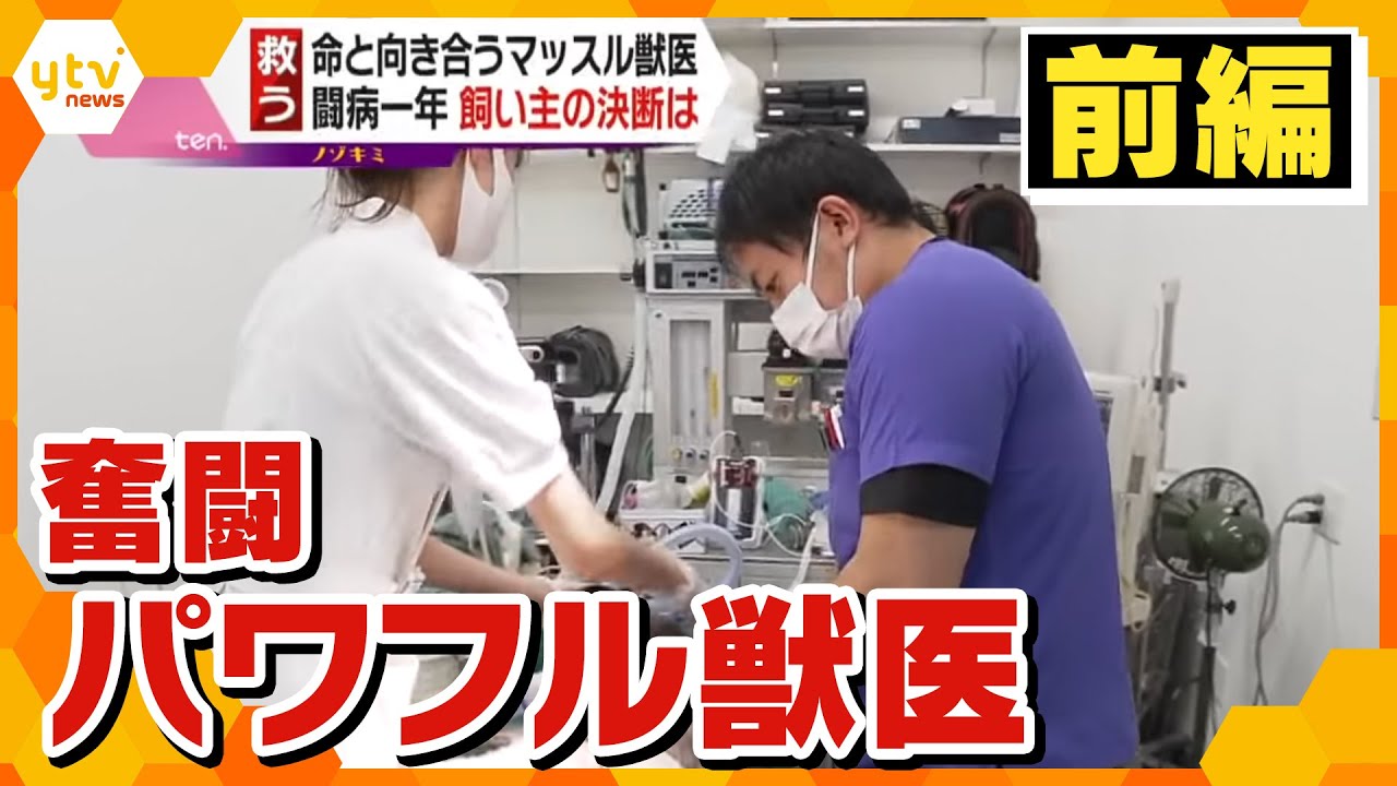 ペットの命を救う マッスルパワー獣医【前編】