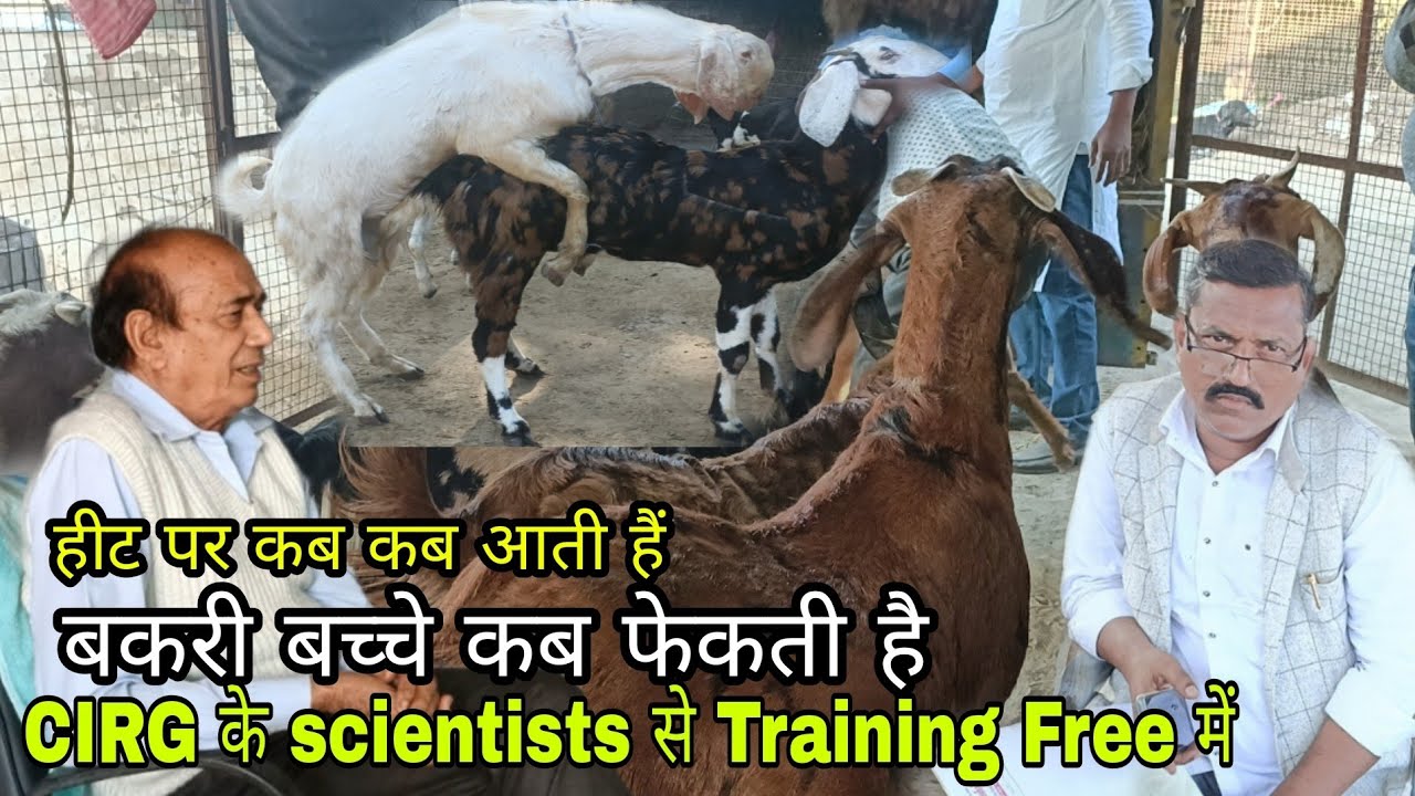 Part 1 Goat Farming Training with CIRG Scientist Mathura UP
