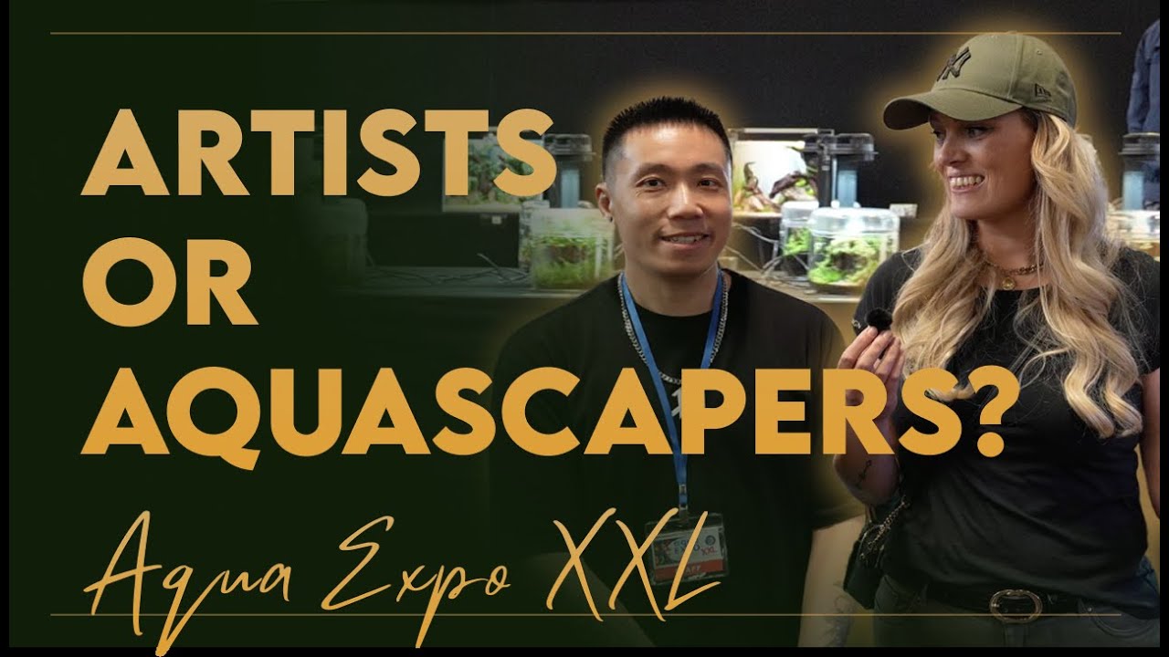 Aquascapers, Art & ADA Magic - Aquascaping at the Aqua Expo XXL