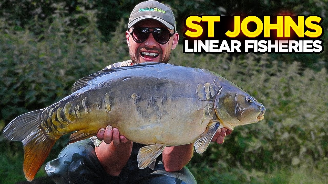 Видеоблог о летней рыбалке на карпа на озере Сент-Джонс в Linear Fisheries
