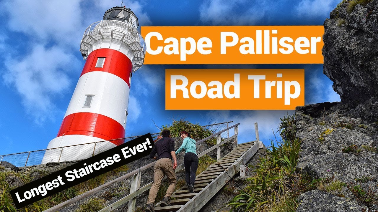 🚨 Cape Palliser Road Trip in Wairarapa – New Zealand's Biggest Gap Year