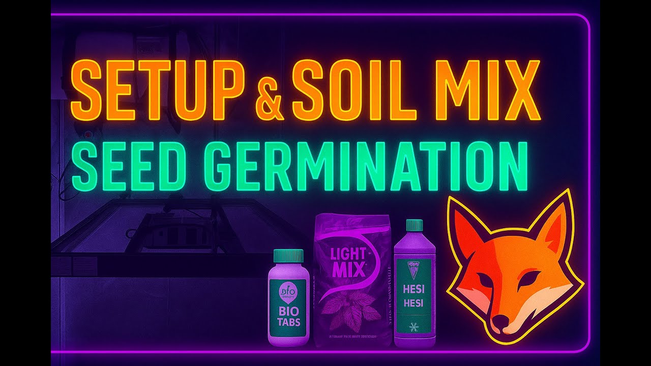Week 1 &ndash; Setup & Seeds | Autopot Grow | BioTabs vs. HESI | Fast Buds Autos und Bio Bizz Erde