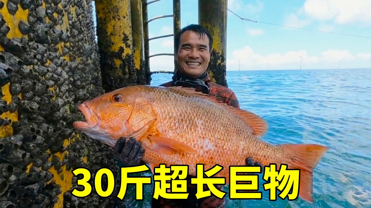 远海铁塔下打了满海红，突然遭遇3条米级超长巨物，渔获锦上添花！【探海漁人】