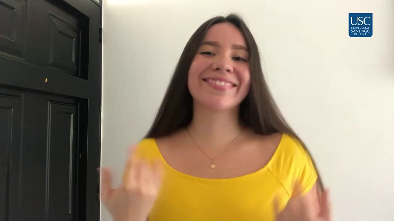 Interpretación lengua de señas canción 