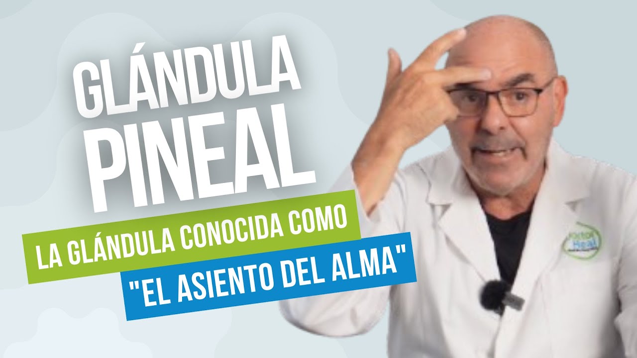 La GLÁNDULA PINEAL: Cuál es su Función y Cómo Mantenerla Sana