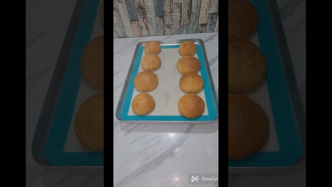 Continental Chicken Burger Delight