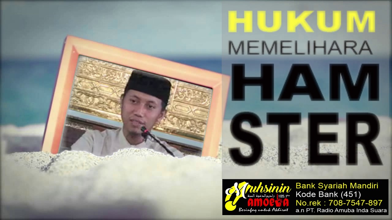 Hukum memelihara Hamster - Ustadz Ammi Nur Baits Hafizhahullah
