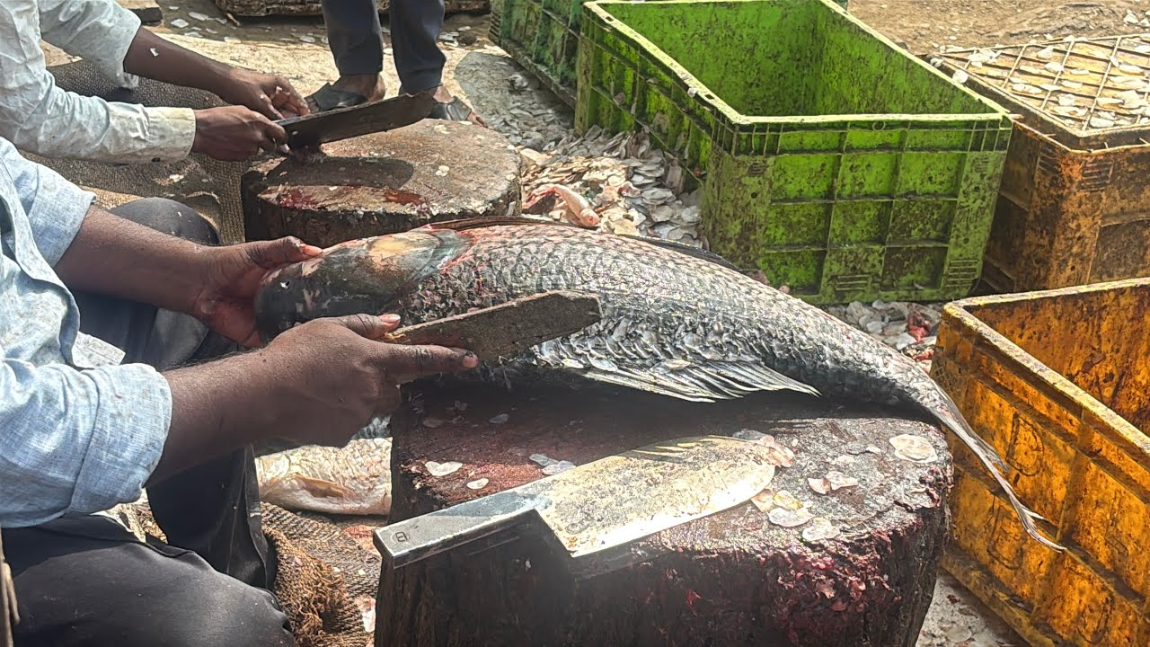 Amazing fish cutting ✨👍