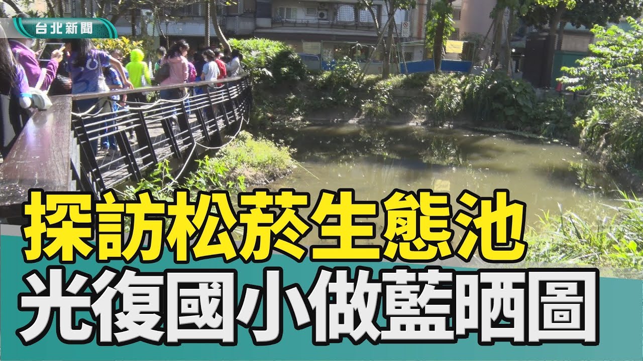 秘境 台北|松菸 古蹟|文創園區 生態池|瀕危植物 藍晒圖|志工 小學生|環境 教育|2023 中嘉新聞|台北市區大自然寶地 光復國小探松菸生態池 拍瀕危植物做藍晒圖
