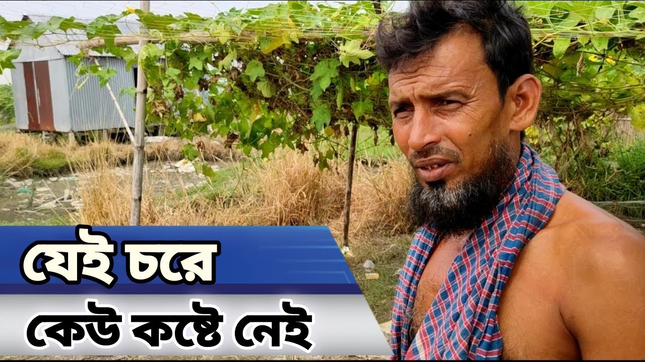 যেই চরে কেউ ক-ষ্টে নেই এখানে গাড়িও চলেl Rural Life