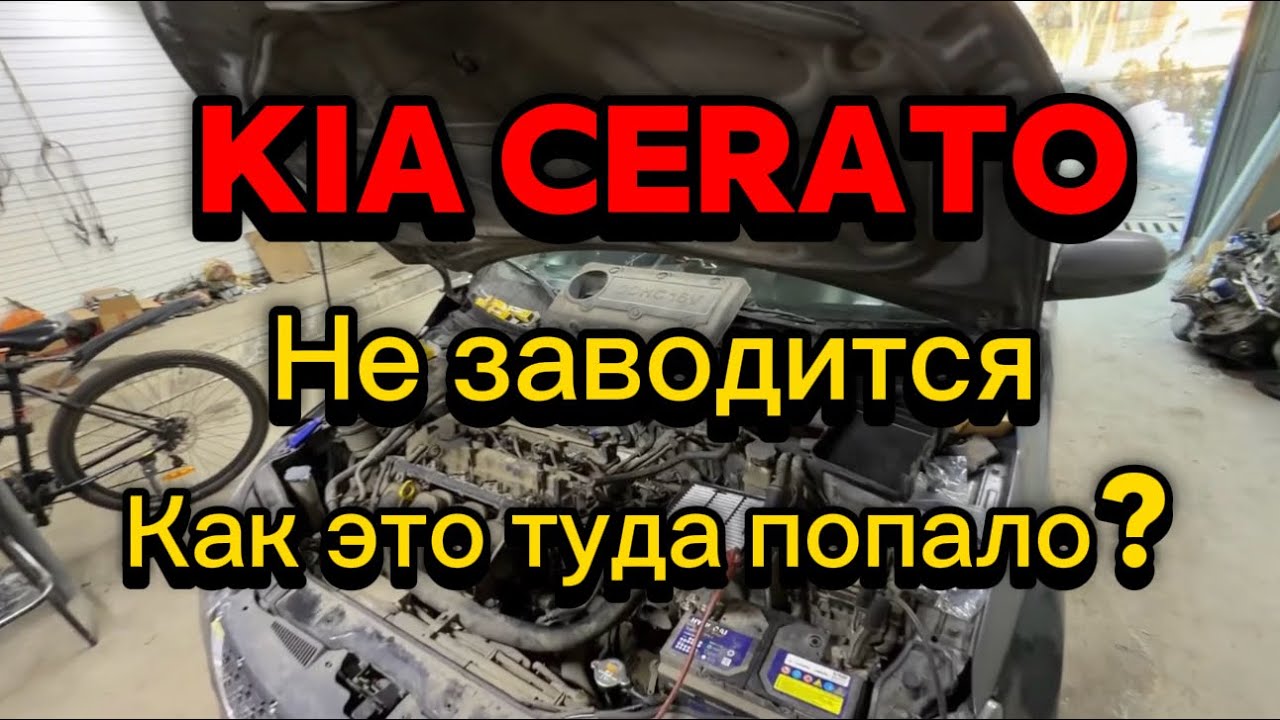 Как это туда попало? Kia Cerato не заводится.