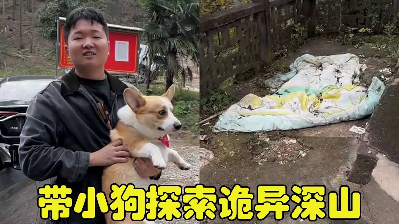 第一次带小狗爬山，没想到深山庙里有一床杯子？吓得我连滚带爬的跑了！【勋勋】