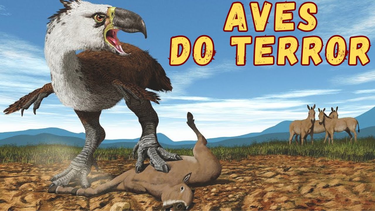 AVES DO TERROR! ANIMAIS GIGANTES DO PASSADO! CORRIAM MUITO E TINHAM BICOS FORTES E GARRAS AFIADAS!
