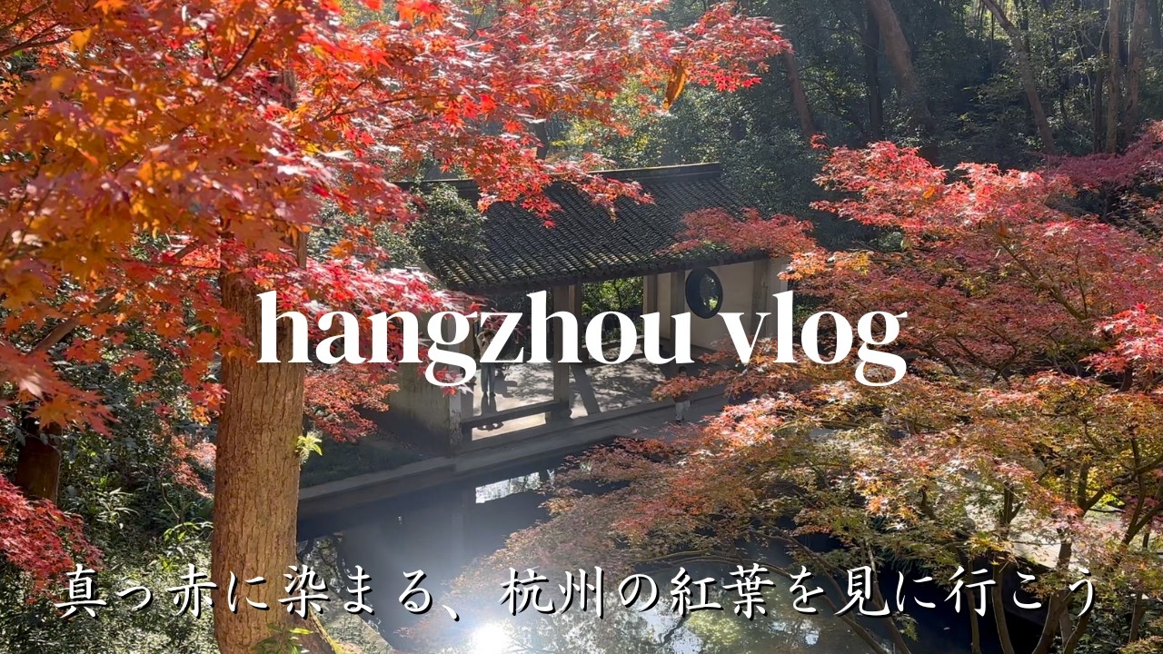 【杭州Vlog】紅葉とグルメと街歩き、2週連続でめぐる深まる秋の杭州