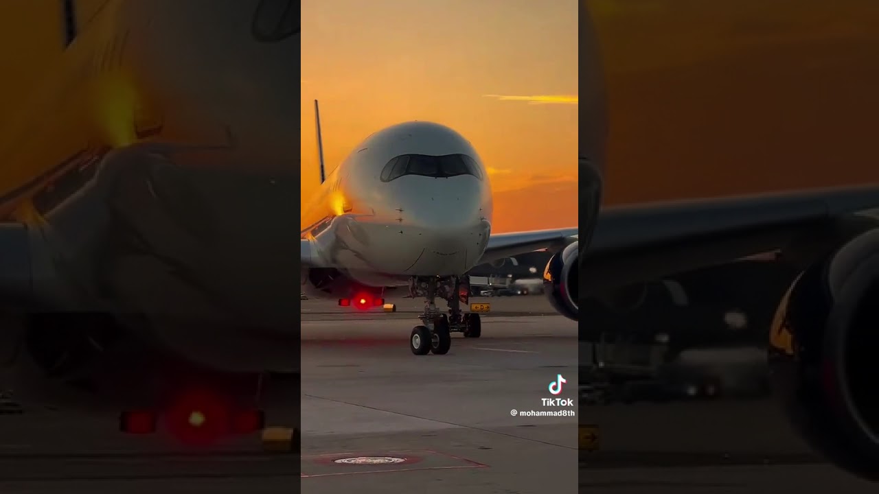 مات الكلام 