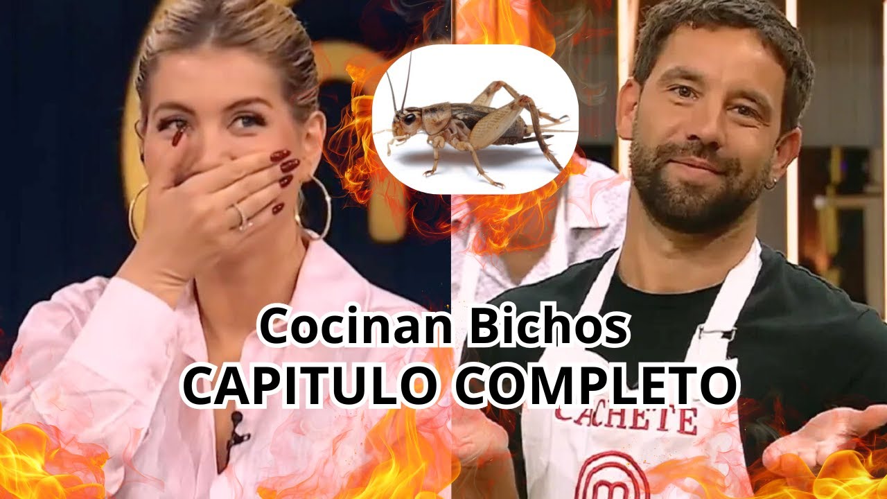 En VIVO MasterChef Celebrity Argentina 2026