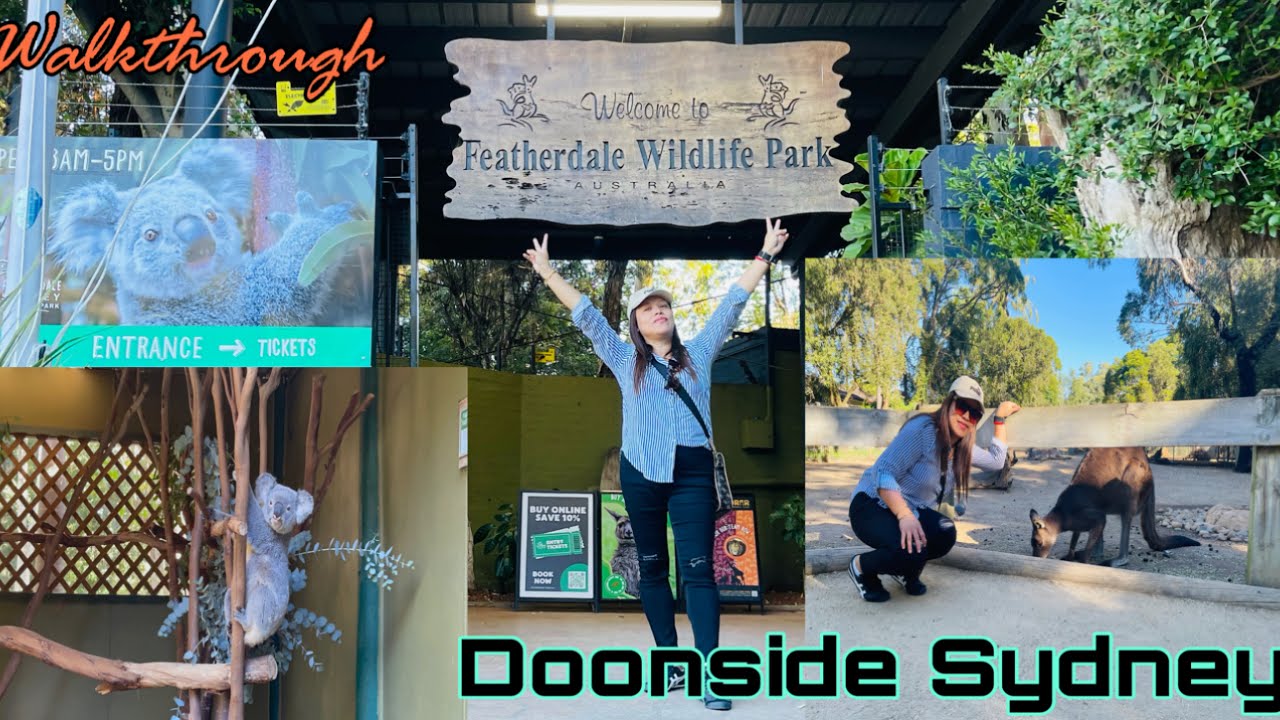 FEATHERDALE SYDNEY WILDLIFE PARK / UP CLOSE ENCOUNTERS W/ THE ANIMALS 🦘🐨  (walkthrough)