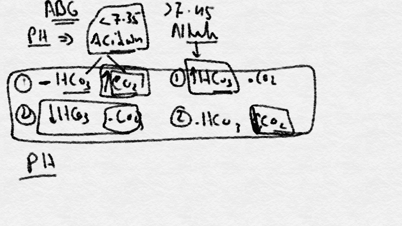 data2