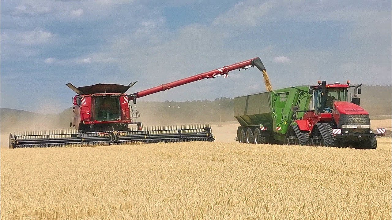 Žně 2023 - 2× Case IH Axial-Flow 9250 | Case IH Quadtrac 450 & Bergmann GTW 430 | Rostěnice a.s.