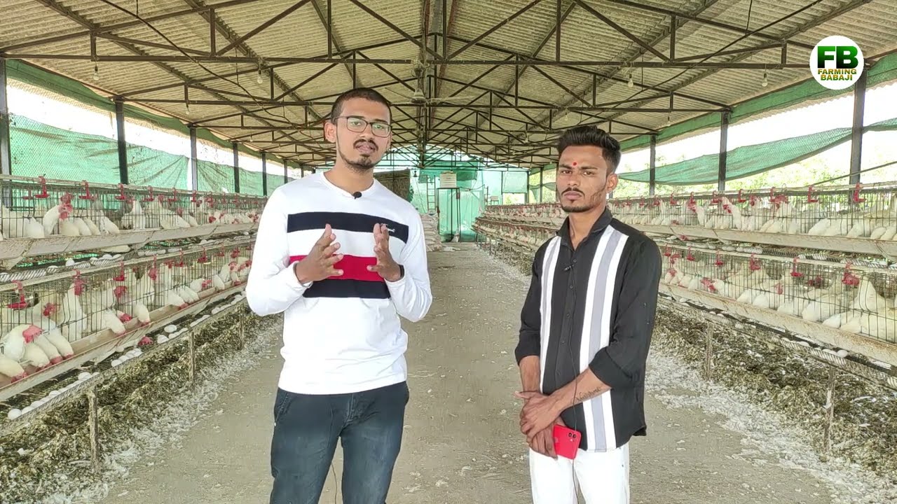 अंडी उत्पादनातून कमावला 10 लाखांचा नफा | Layer poultry farming business | Egg production poultry